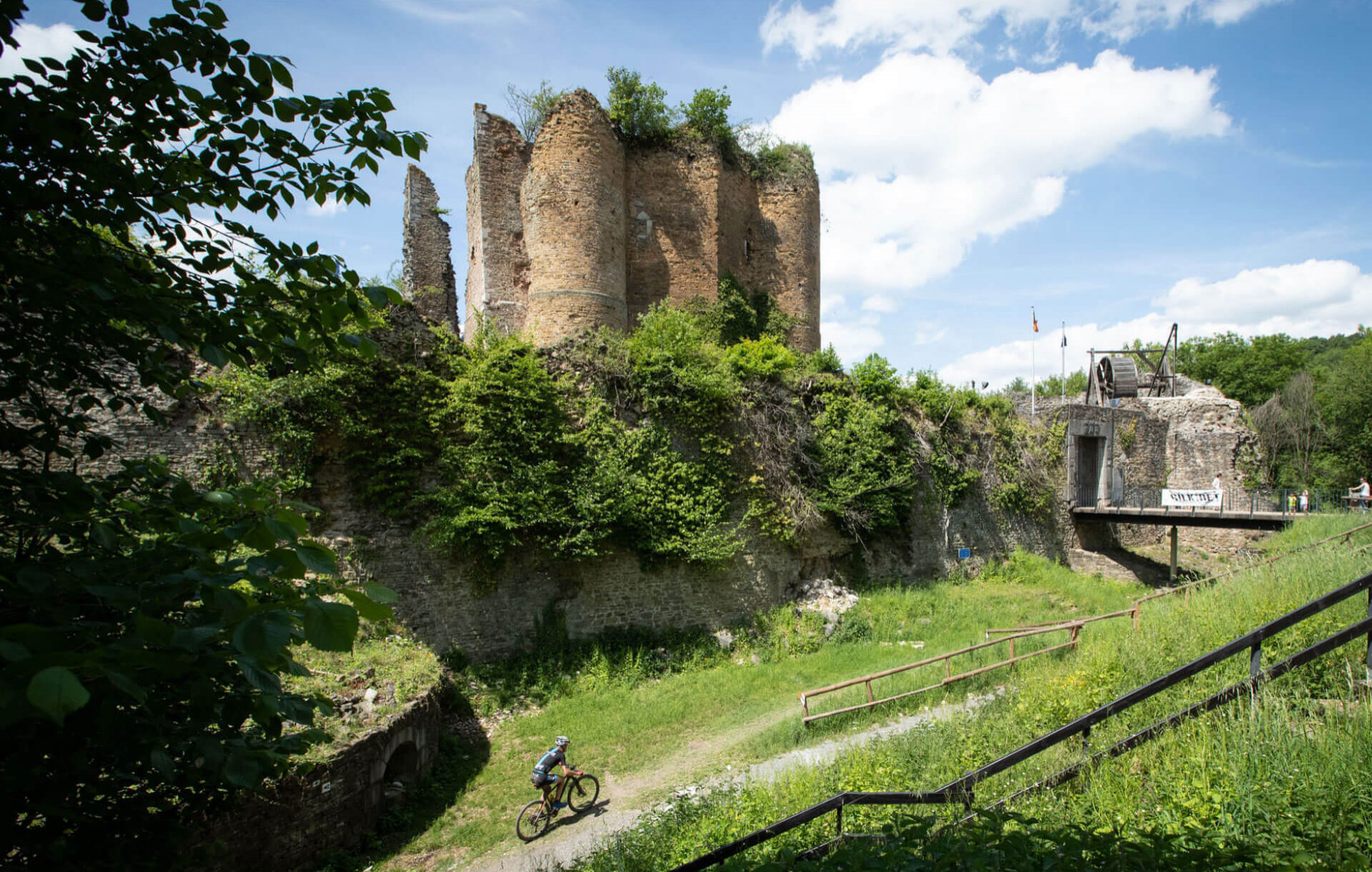 Home - Ardennes Trophy - photo 7