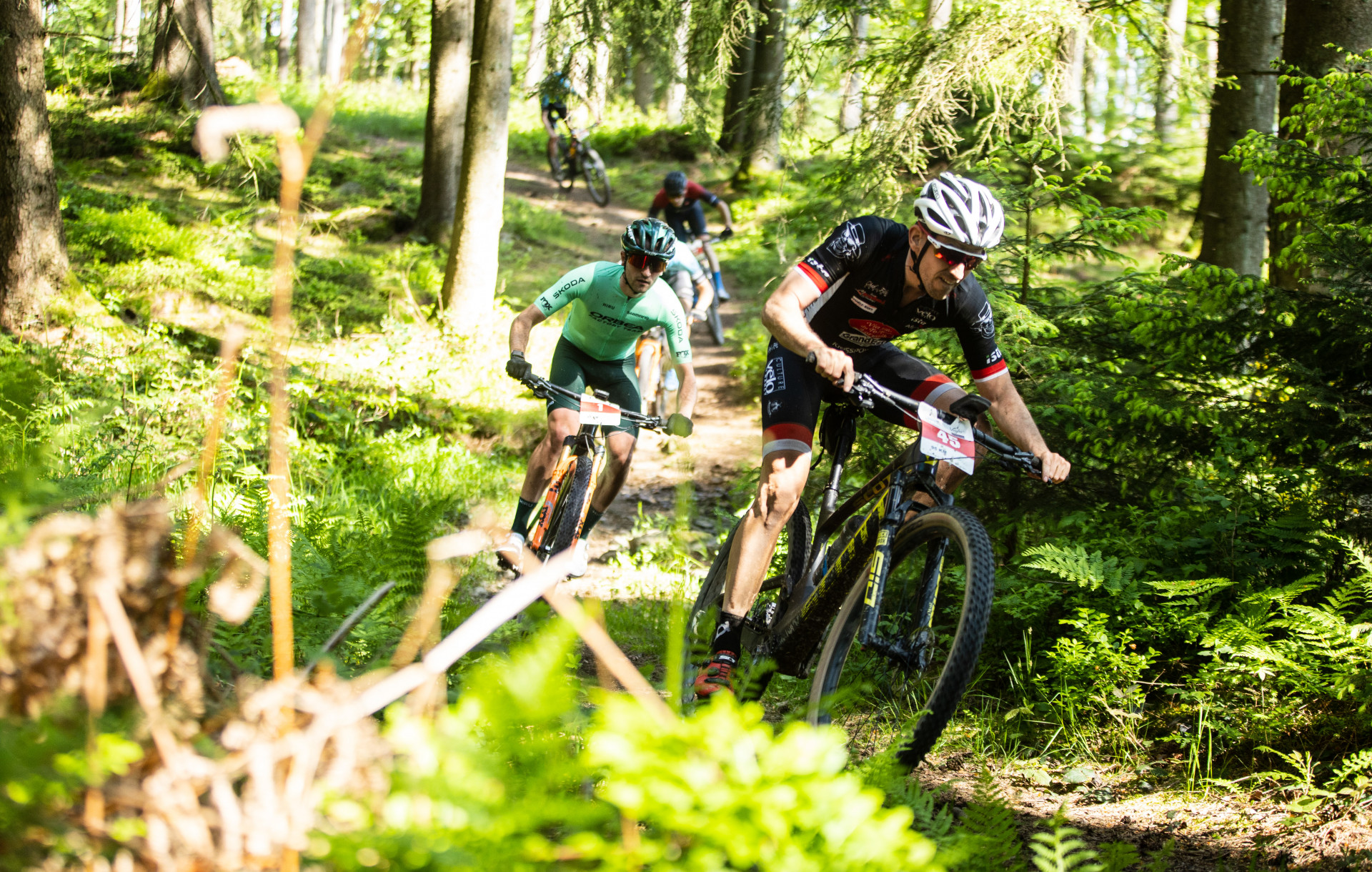 Home - Ardennes Trophy - photo 8