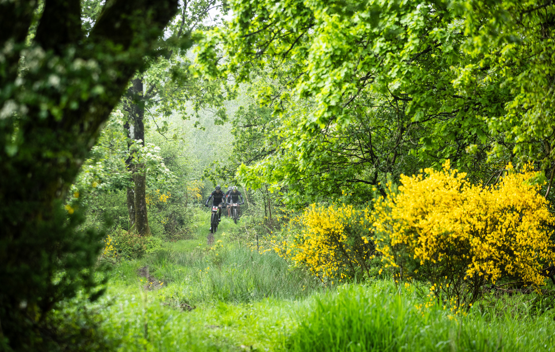 Home - Ardennes Trophy - photo 11