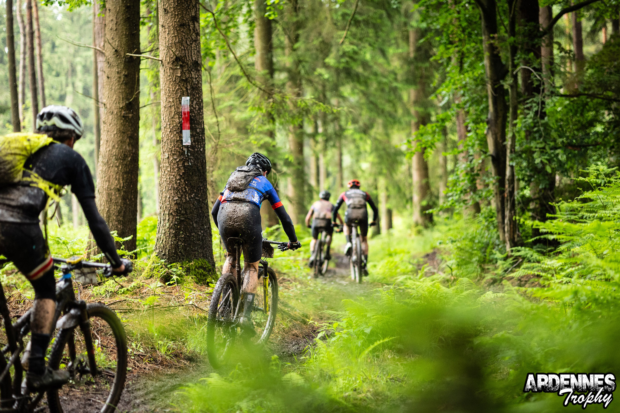 MTB Tocht - Ardennes Trophy - photo 7