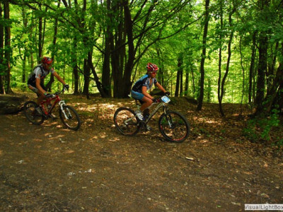 2010 - Ardennes Trophy - photo 119