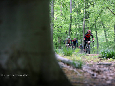 2016 - Ardennes Trophy - photo 14