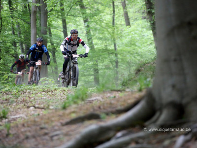 2016 - Ardennes Trophy - photo 28